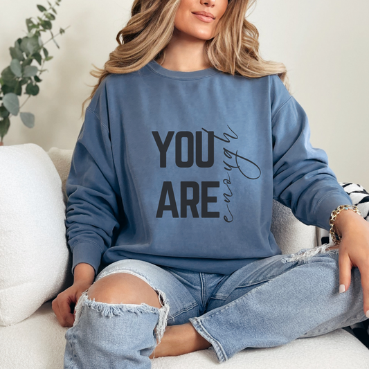 Comfort Colors Sweatshirts, Crewneck Comfort Colors Blank Sweatshirt, 1566 Comfort Colors Sweatshirts for Women, College Colors Crewnecks